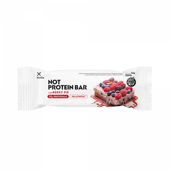 NotProtein Bar Berry Pie